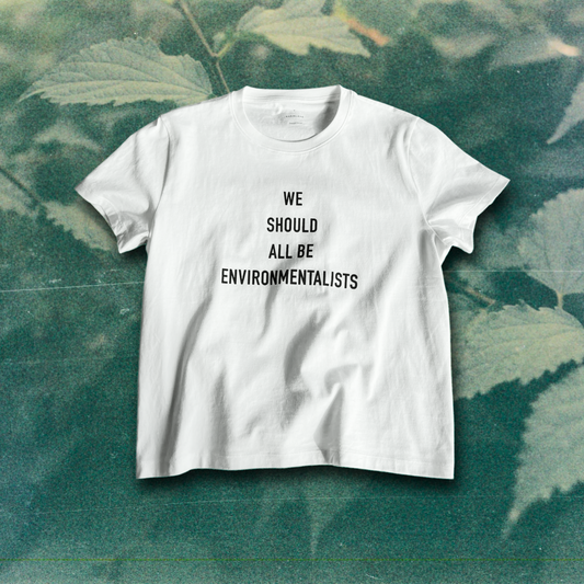 'We Should All Be Environmentalists' Tee